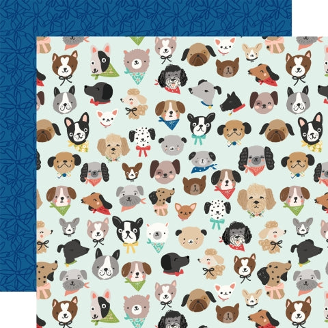 Fur Baby Dog - Collection Kit