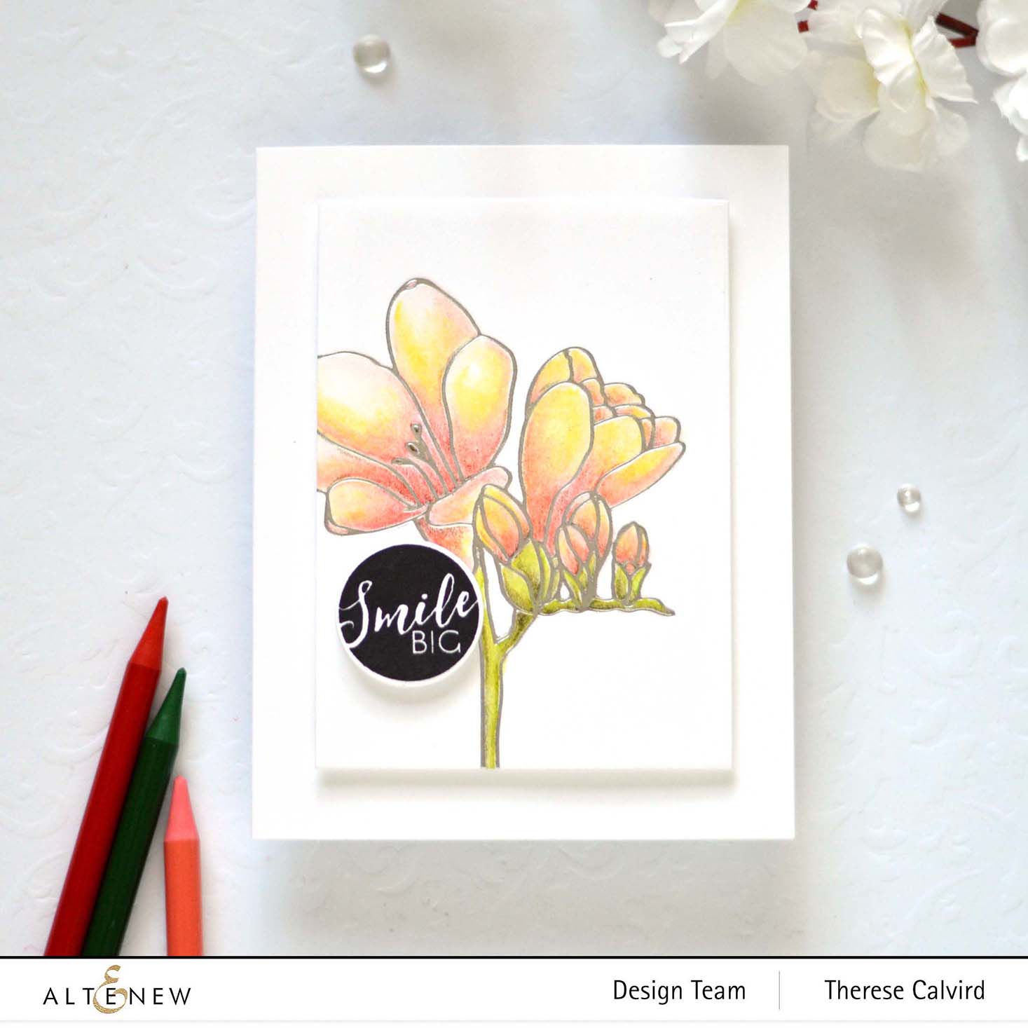 Freesia - Hot Foil Plate & Stencil Bundle
