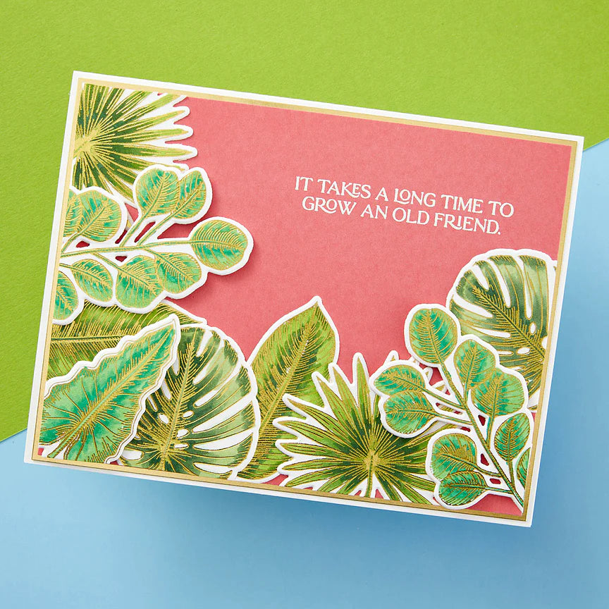 Tropical Leaves Press Plate & Die Set from the Propagation Garden Collection by Annie Williams