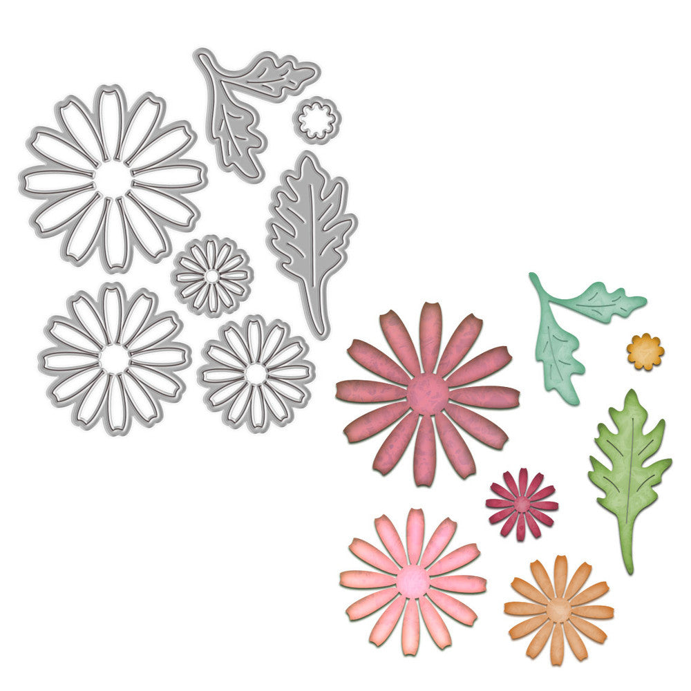 Bright and Beautiful Collection - Chamomile Flower dies