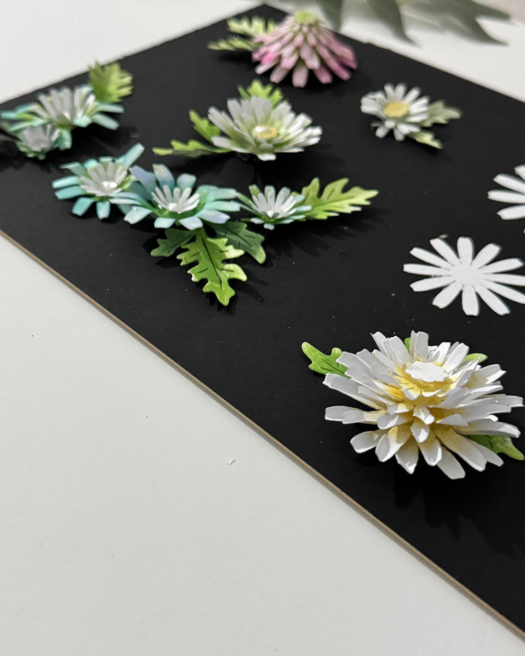 Bright and Beautiful Collection - Chamomile Flower dies