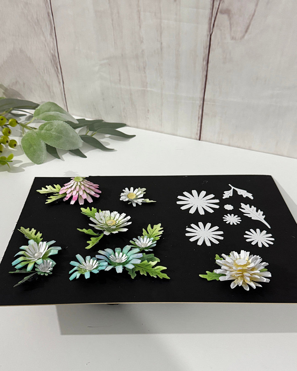 Bright and Beautiful Collection - Chamomile Flower dies