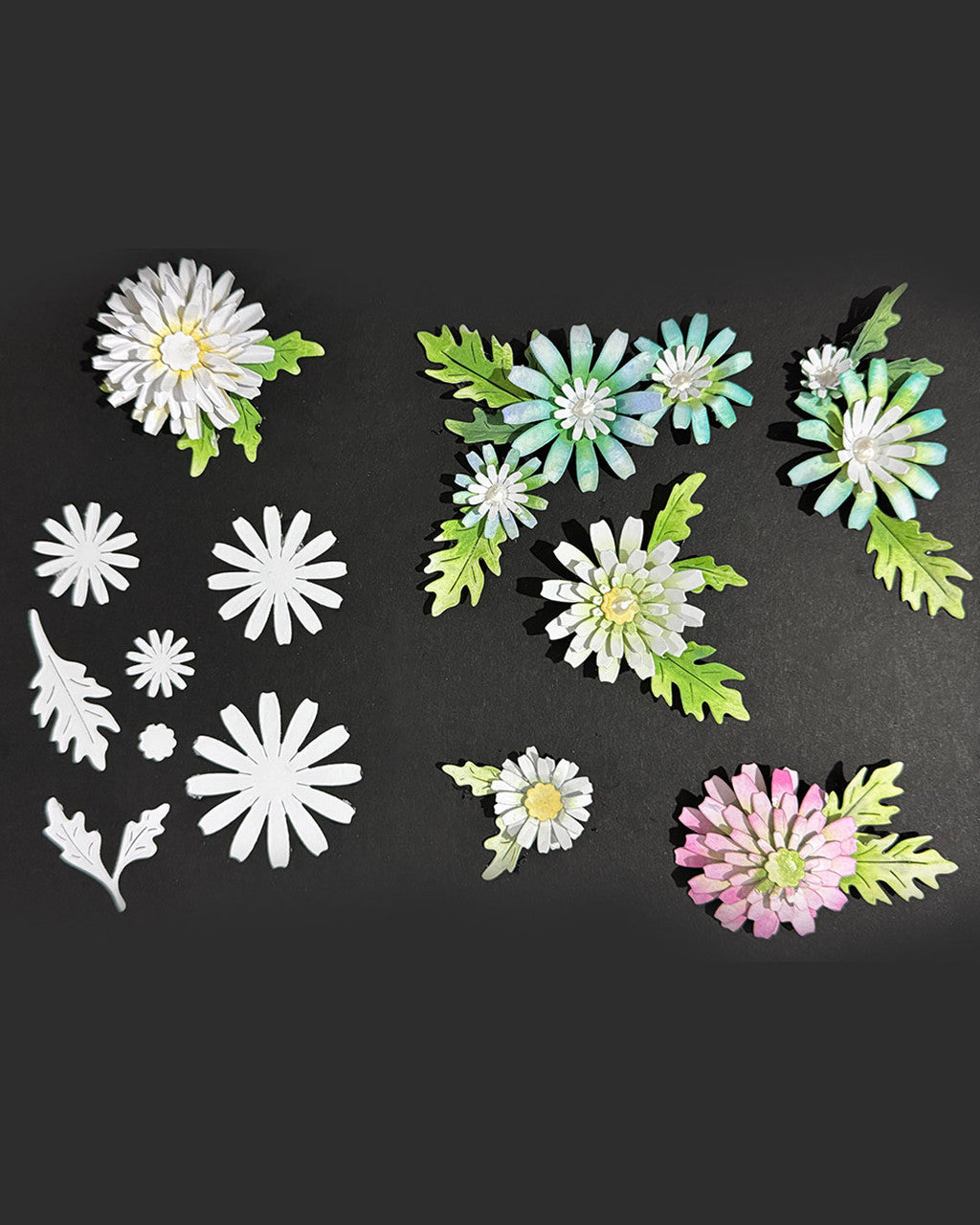 Bright and Beautiful Collection - Chamomile Flower dies