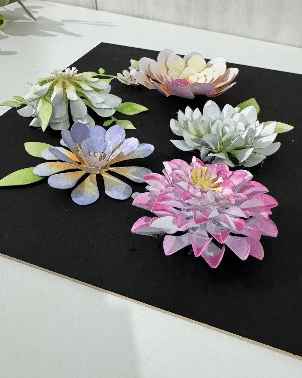 Bright and Beautiful Collection - Dahlia Flower dies