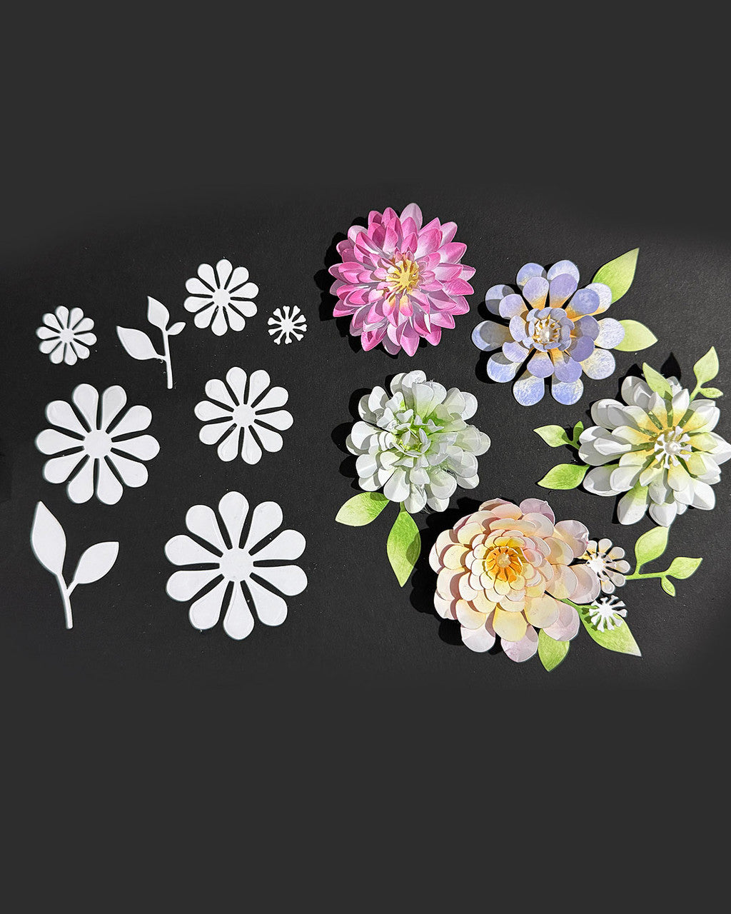 Bright and Beautiful Collection - Dahlia Flower dies