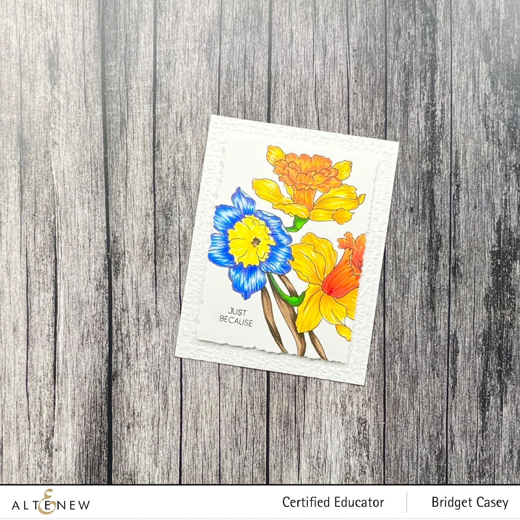 Build-A-Garden: Daffodil Delight