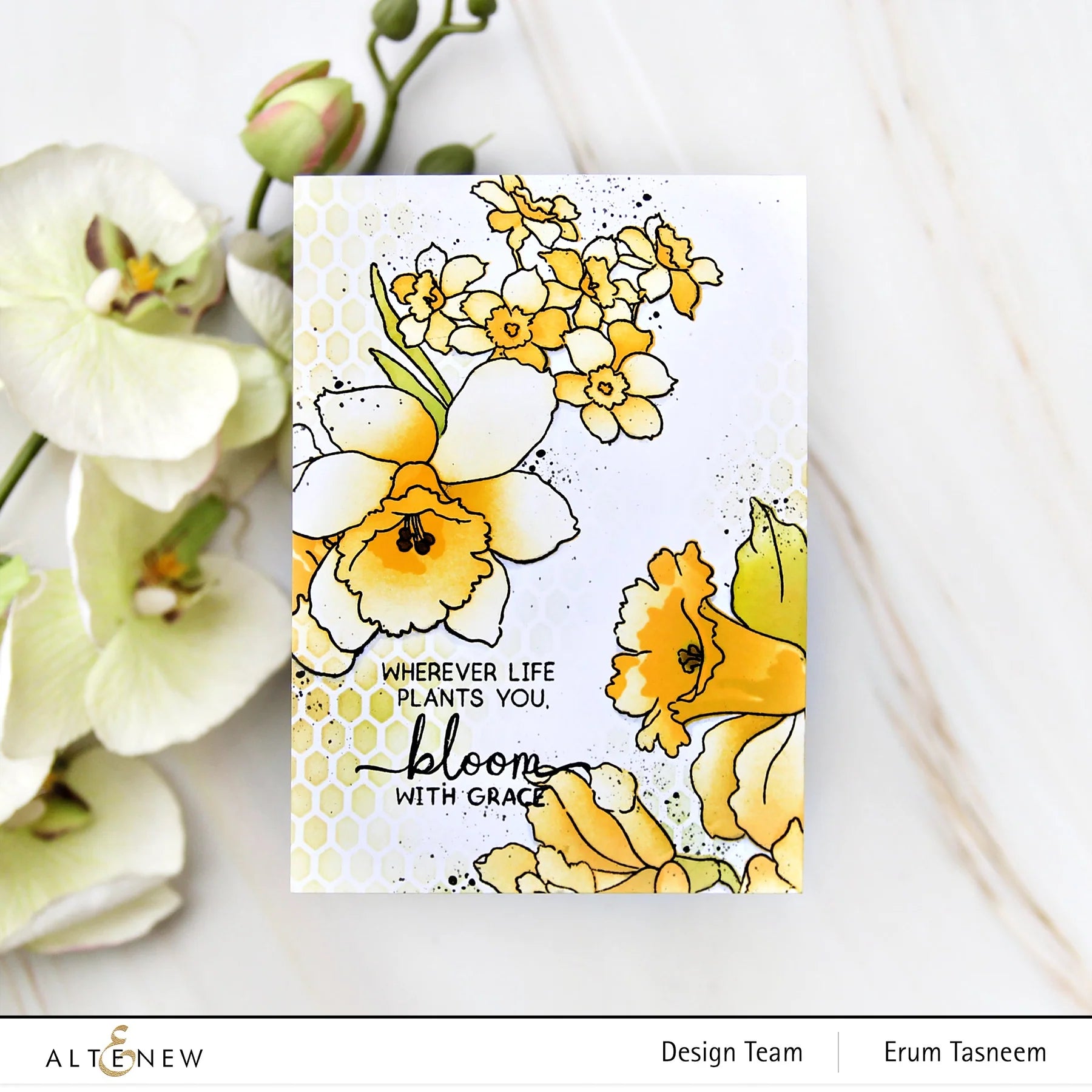 Build-A-Garden: Daffodil Delight