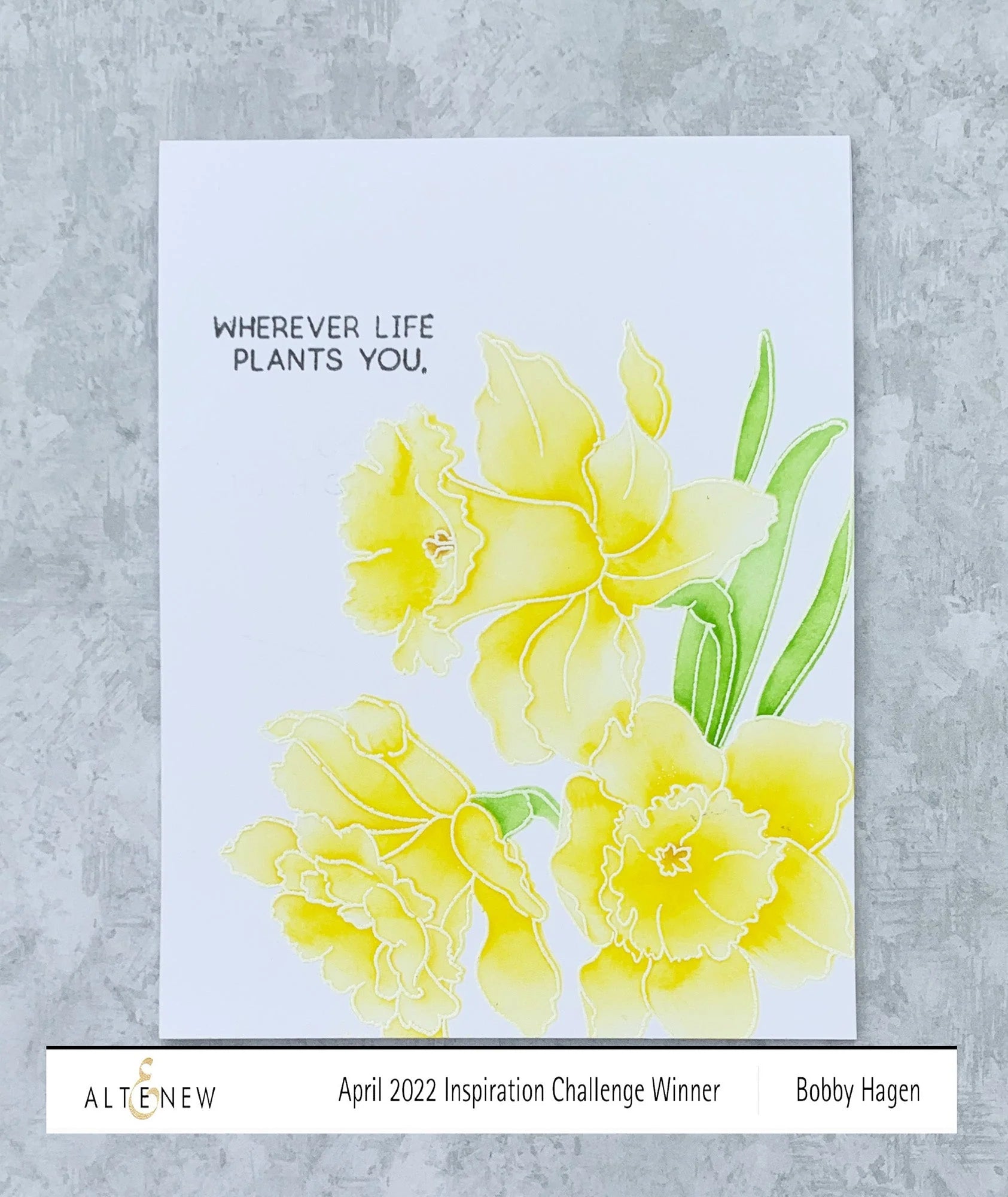 Build-A-Garden: Daffodil Delight