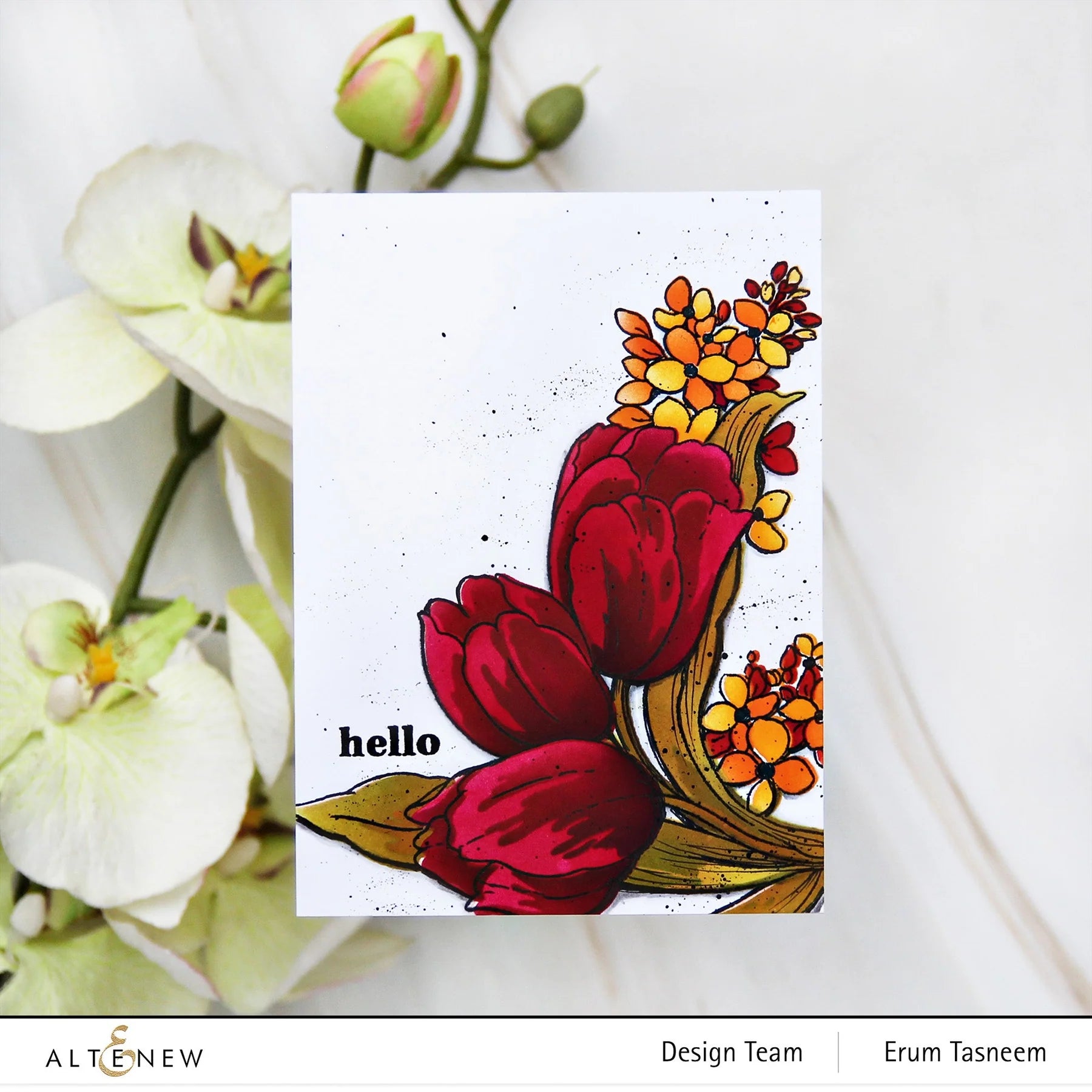 Build-A-Garden: Tulips & Friends