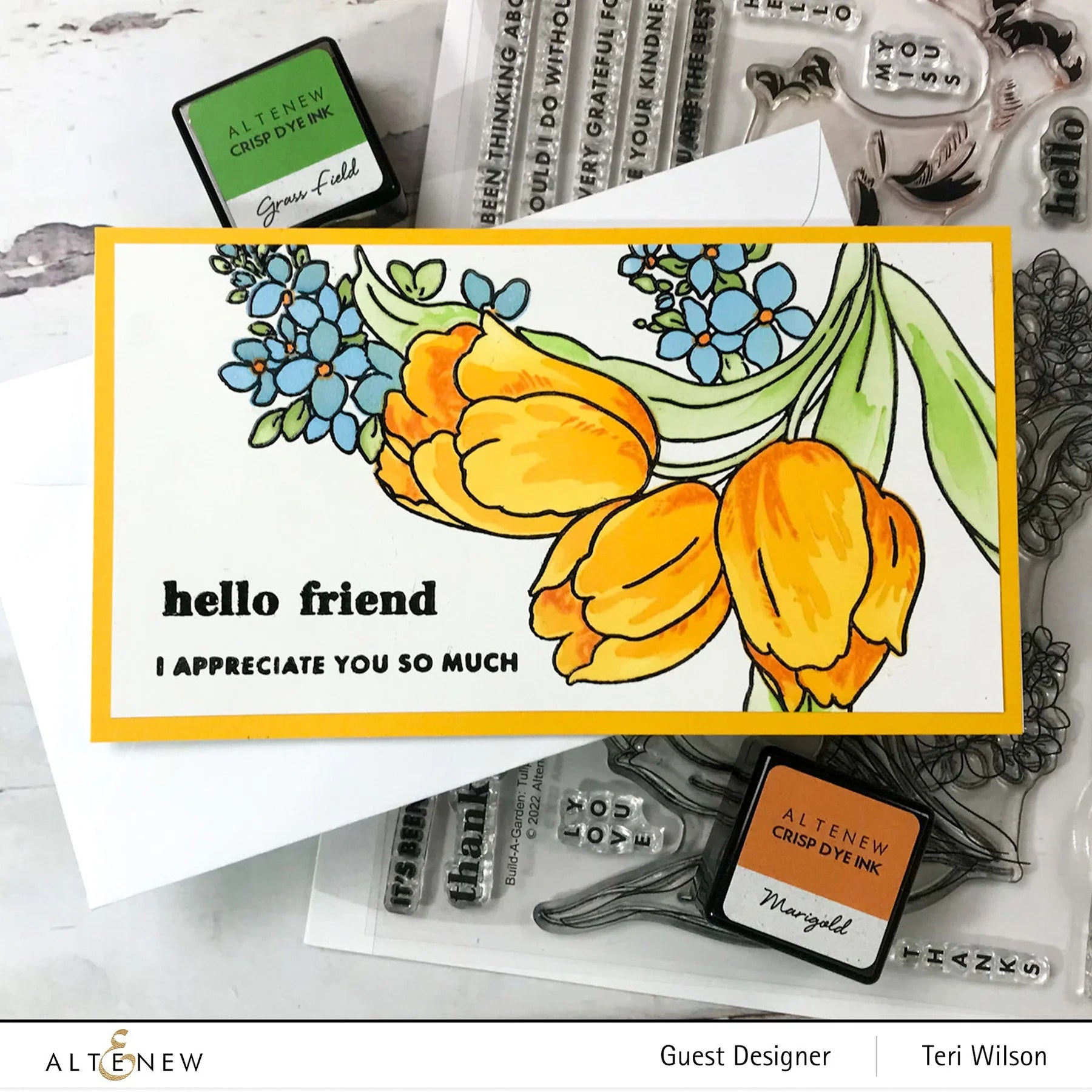 Build-A-Garden: Tulips & Friends