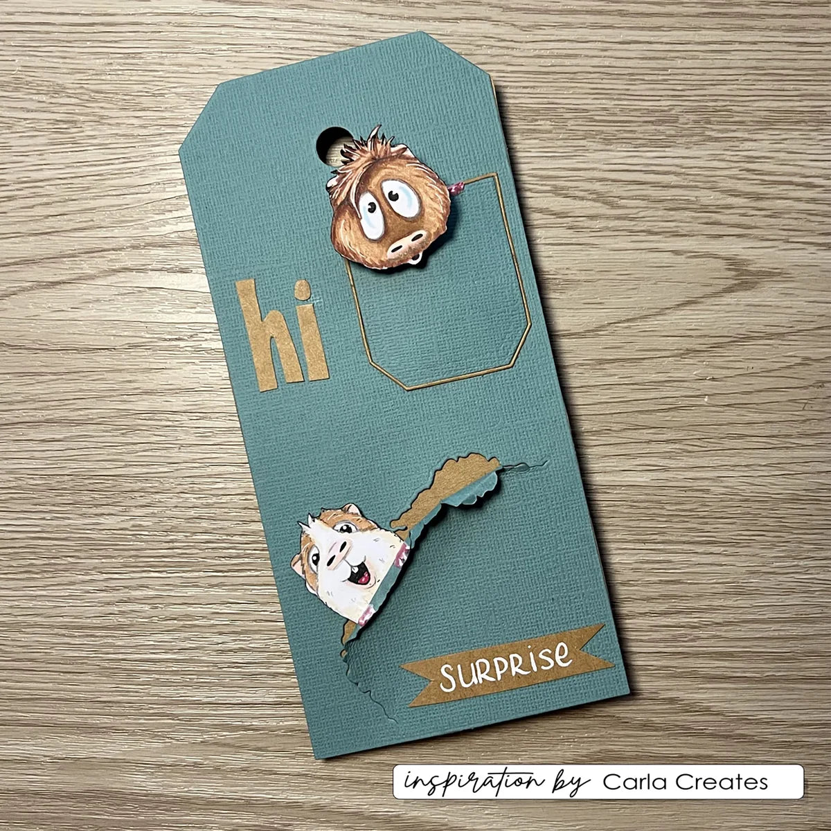Vaessen Creative - Clear Stamps Guinea Pigs 2 - CAR0004