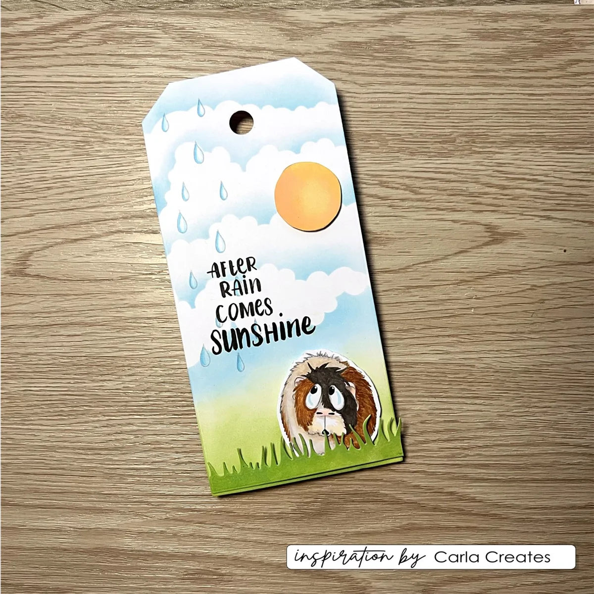 Vaessen Creative - Clear Stamps Guinea Pigs 4 - CAR0006