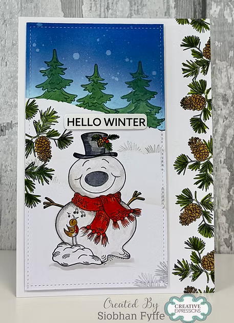 Woodware - Puddles A6 Clear Stamp Set By Gwen Fletcher - WGFS011