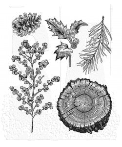 Tim Holtz Cling Mount Stamp: Forest Floor 2 - CMS497