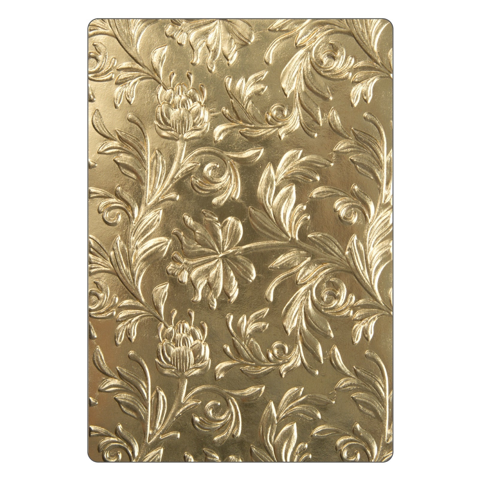 Sizzix 3-D Texture Fades Embossing Folder - Botanical by Tim Holtz - SKU: 662716