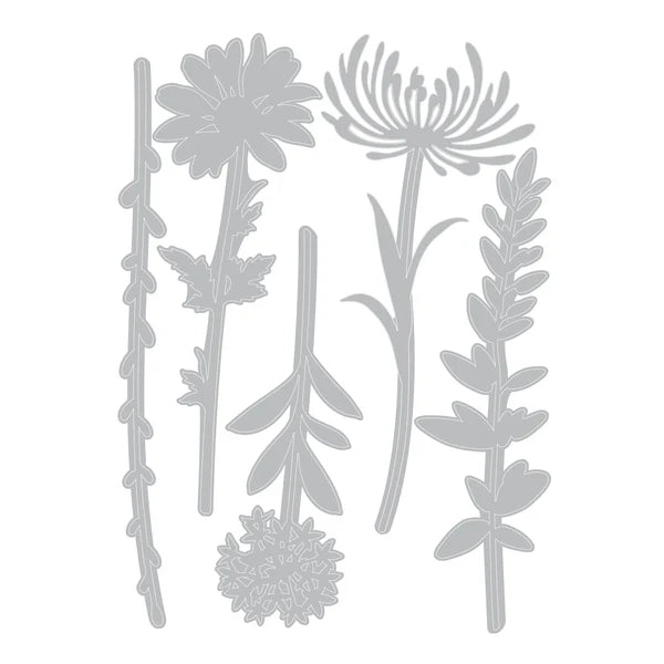 Sizzix Thinlits Die Set 5PK - Wildflower Stems #1 by Tim Holtz - SKU: 664163