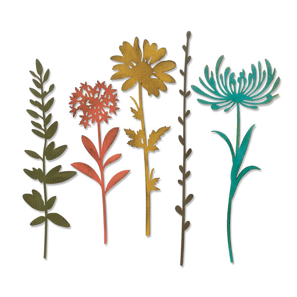 Sizzix Thinlits Die Set 5PK - Wildflower Stems #1 by Tim Holtz - SKU: 664163