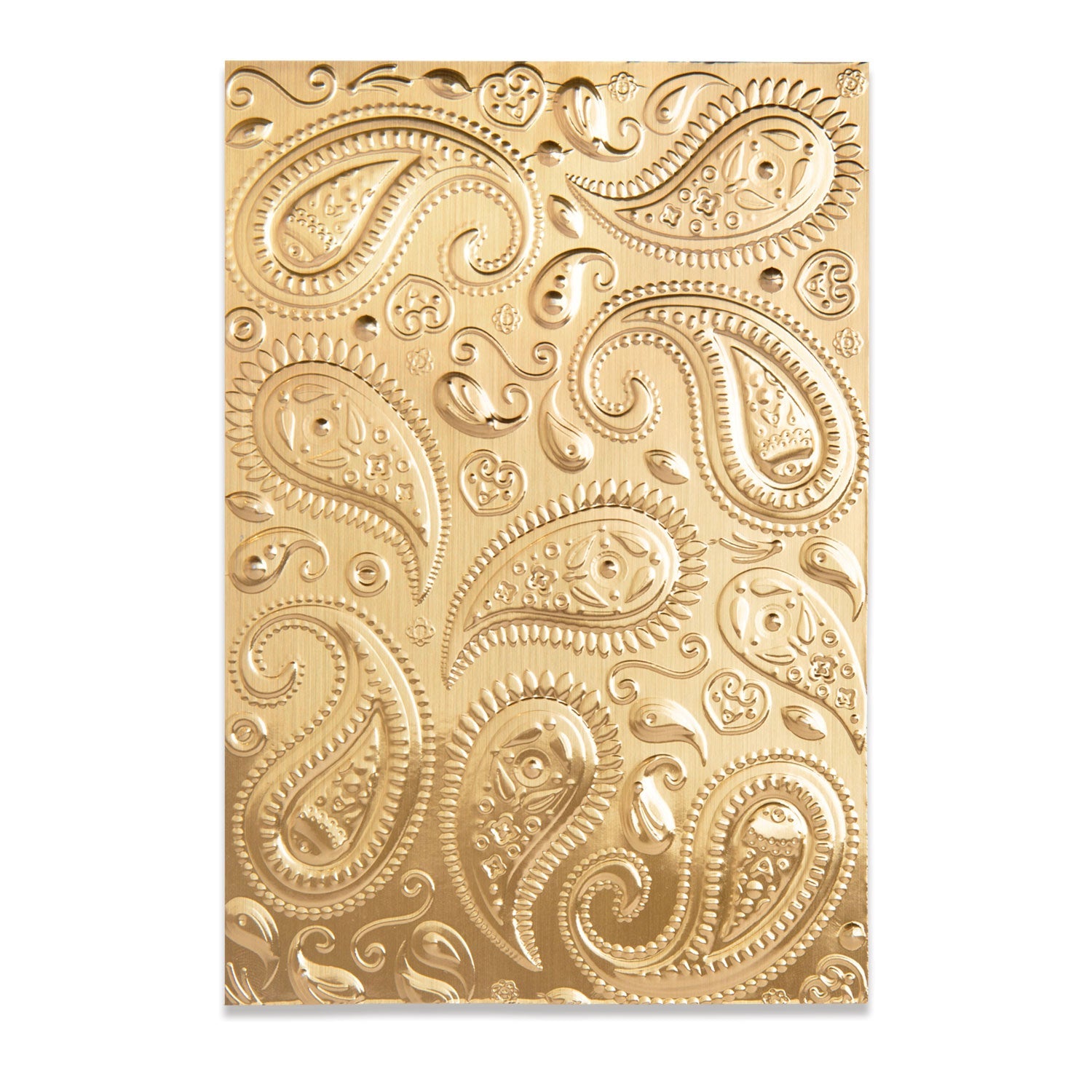 Sizzix 3-D Textured Impressions Embossing Folder - Paisley - SKU: 664796