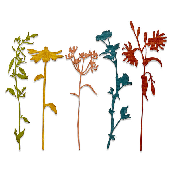 Sizzix Thinlits Die Set 5PK - Wildflower Stems #3 by Tim Holtz - SKU: 665221