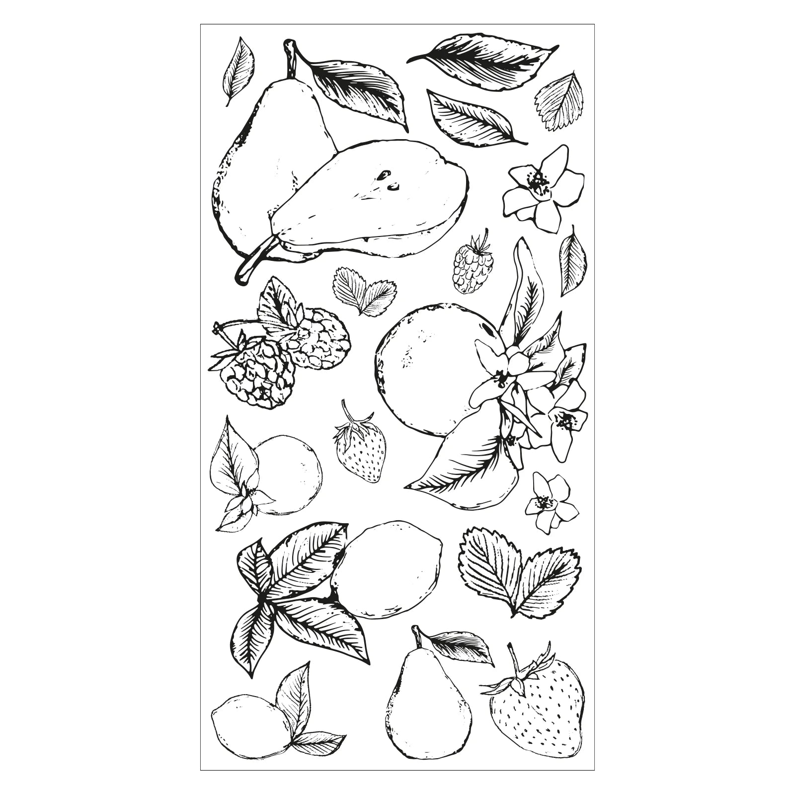 Sizzix Clear Stamps Set 19PK – Botanical Fruit By Lisa Jones - SKU: 666611