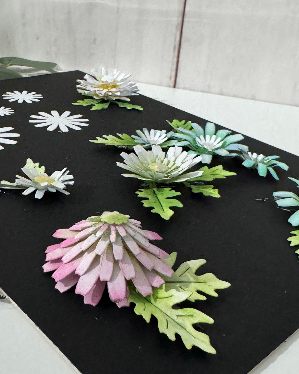 Bright and Beautiful Collection - Chamomile Flower dies