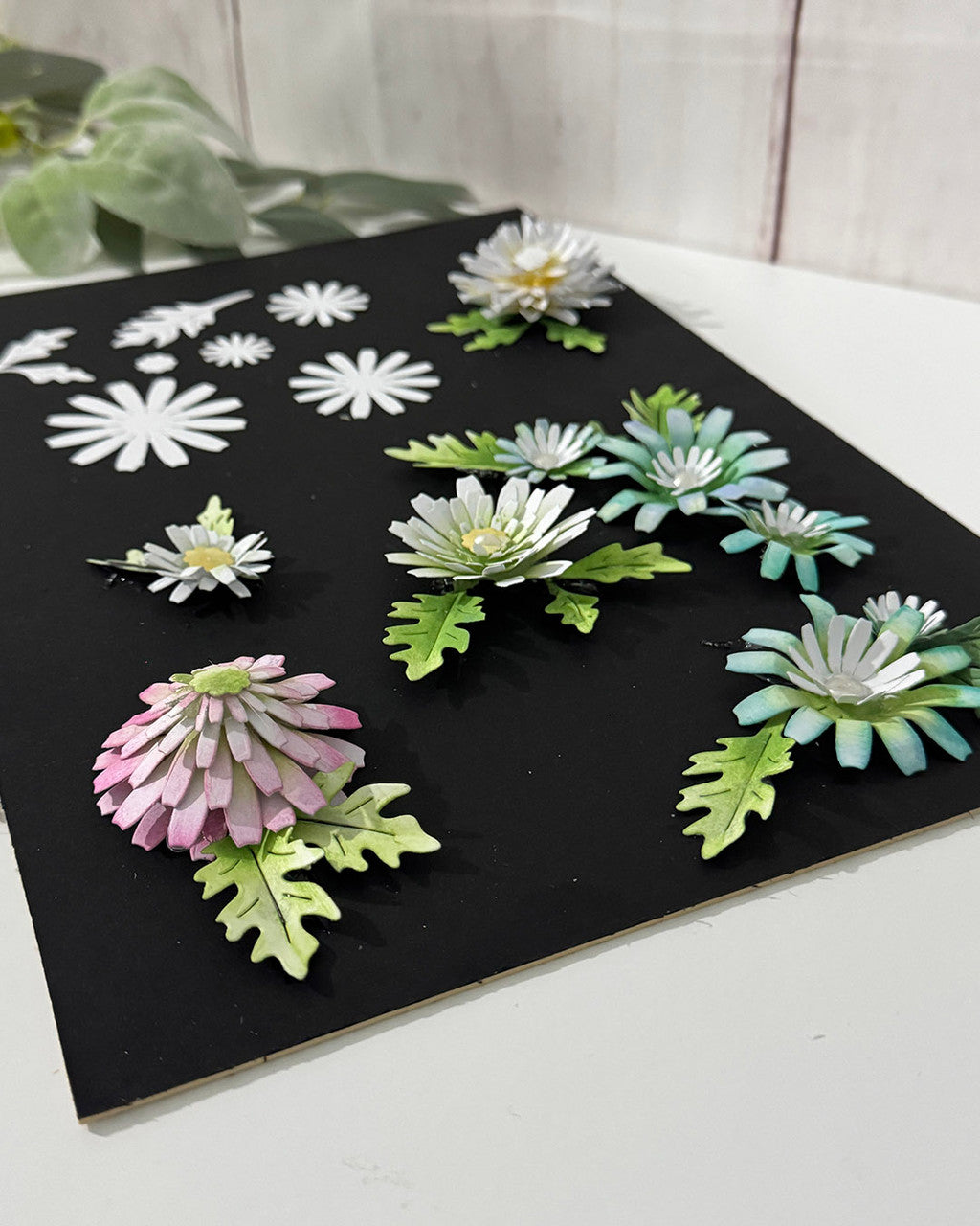 Bright and Beautiful Collection - Chamomile Flower dies
