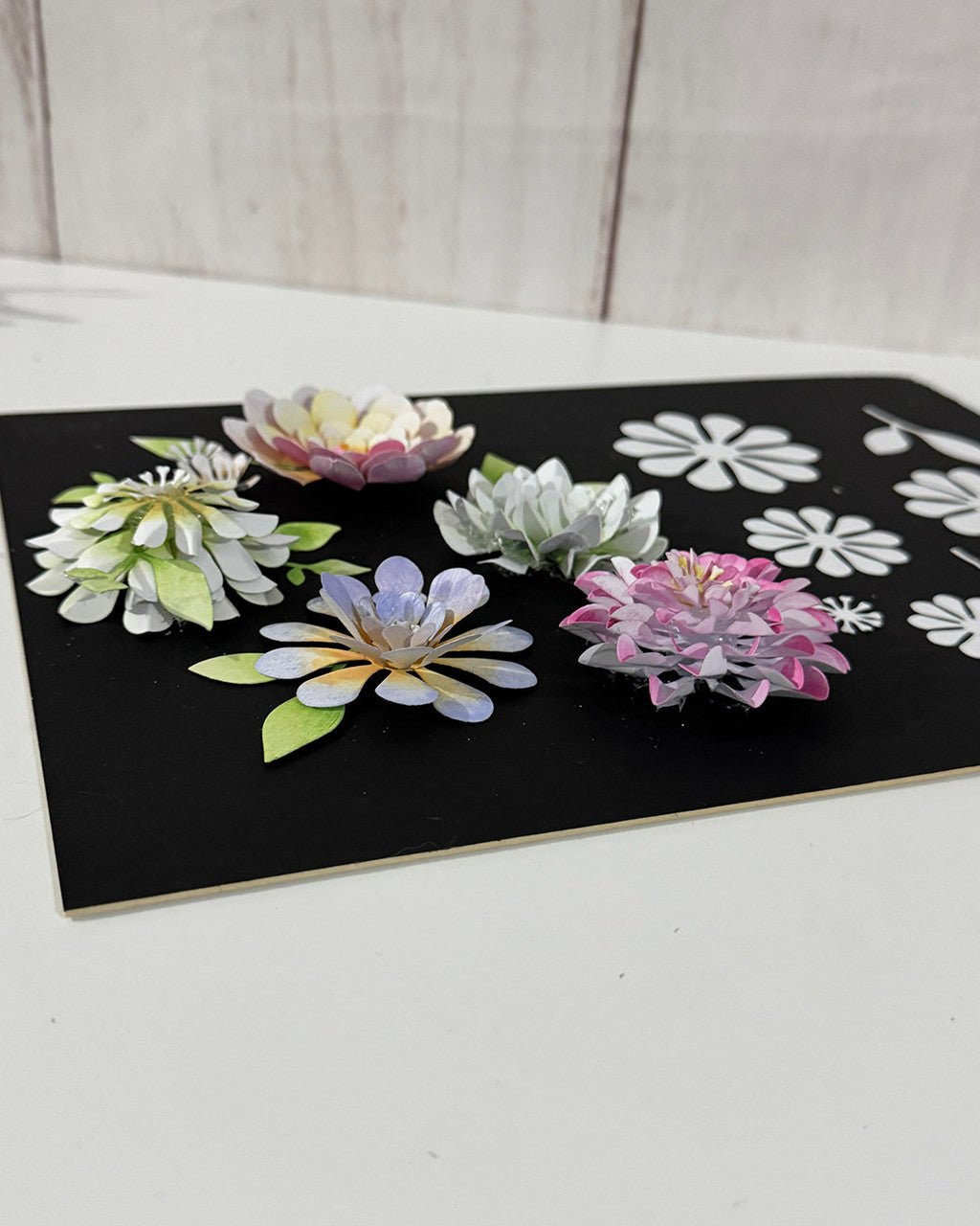 Bright and Beautiful Collection - Dahlia Flower dies