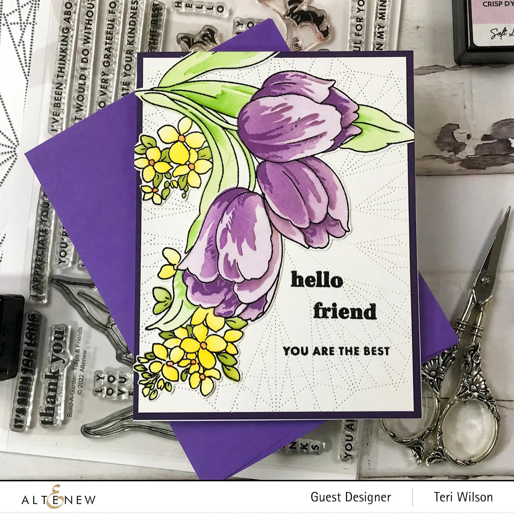 Build-A-Garden: Tulips & Friends