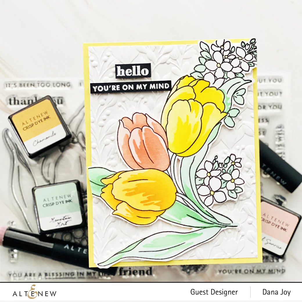 Build-A-Garden: Tulips & Friends