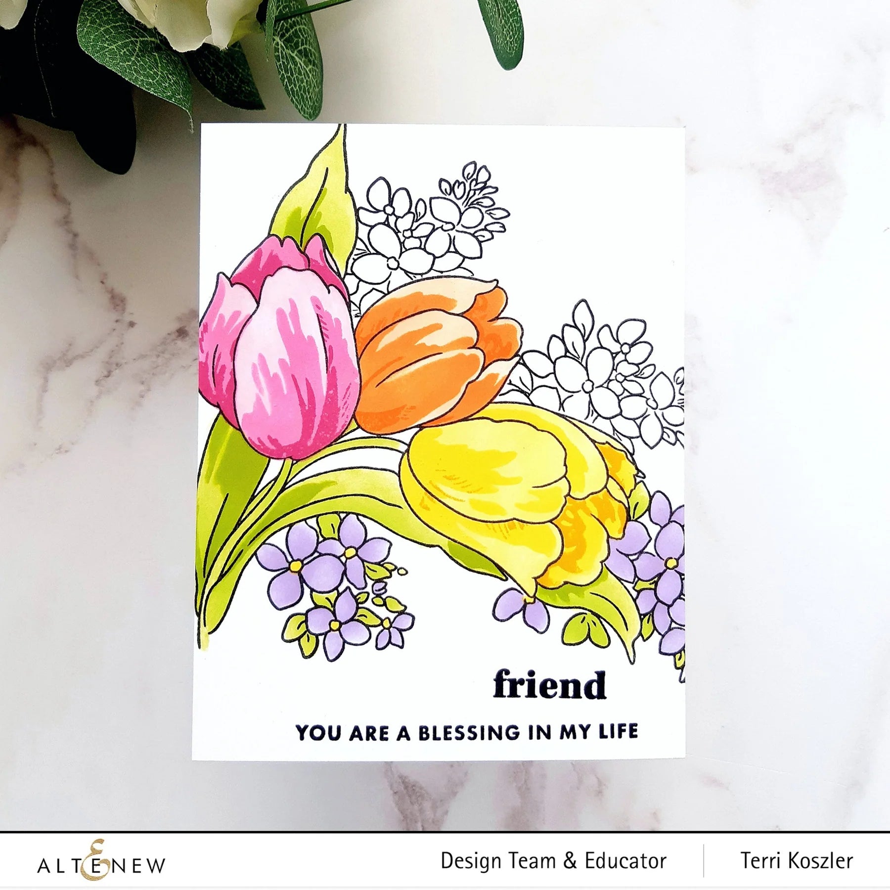 Build-A-Garden: Tulips & Friends