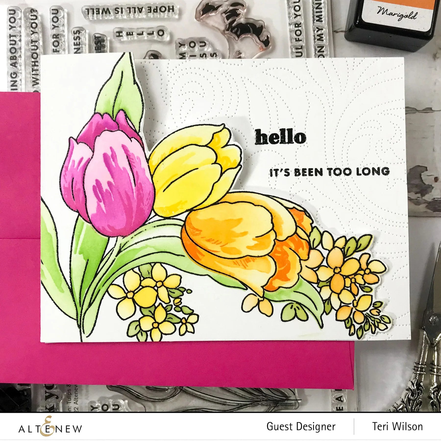 Build-A-Garden: Tulips & Friends