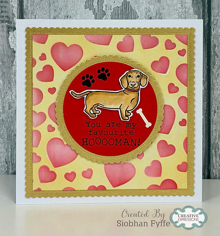 Creative Expressions - Birthday Dogs DL Clear Stamp - CECS021