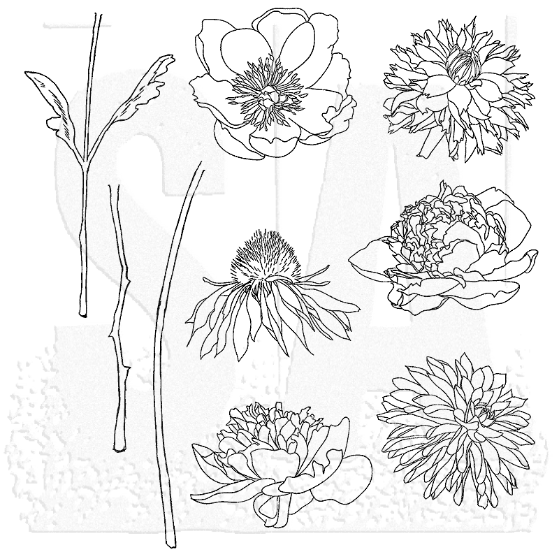 Tim Holtz Cling Mounted Stamps: Flower Garden - SKU: CMS215